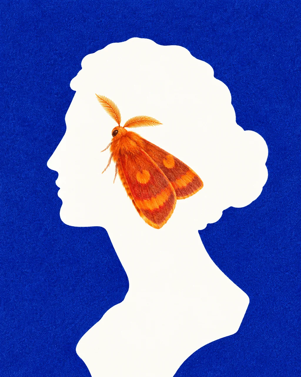 An illustrated orange moth centered within a white silhouette of a woman's profile against a deep blue textured background.